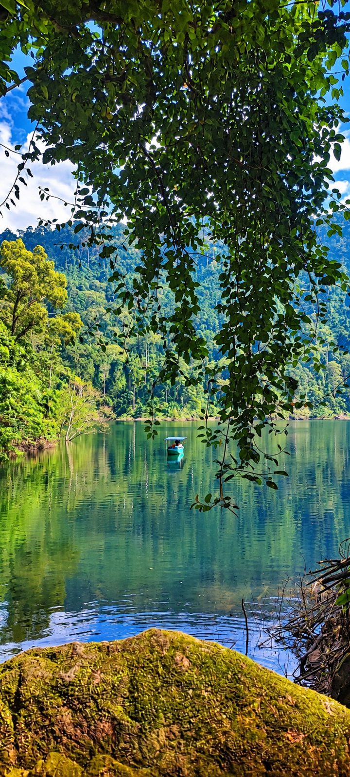 Лодка на водохранилище в джунглях