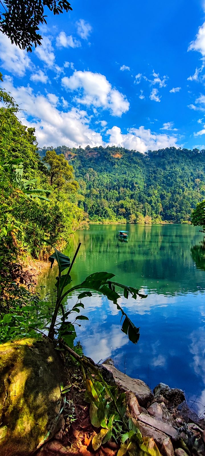Лодка на зелёном водохранилище