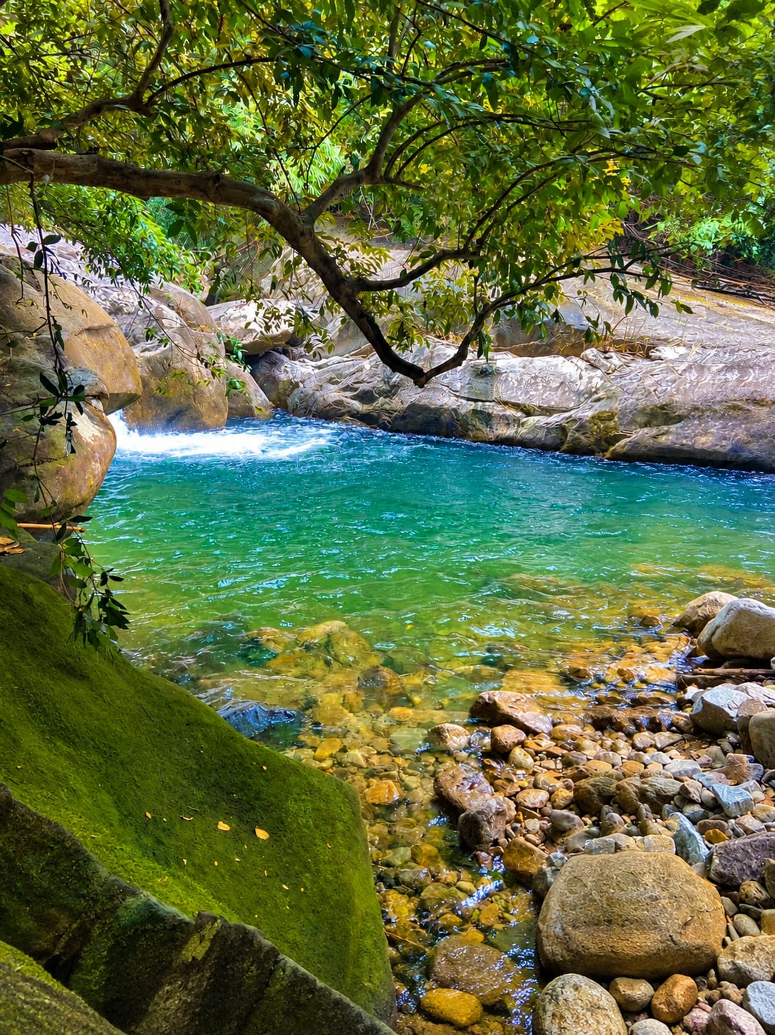 Изумрудная вода лесной реки среди камней